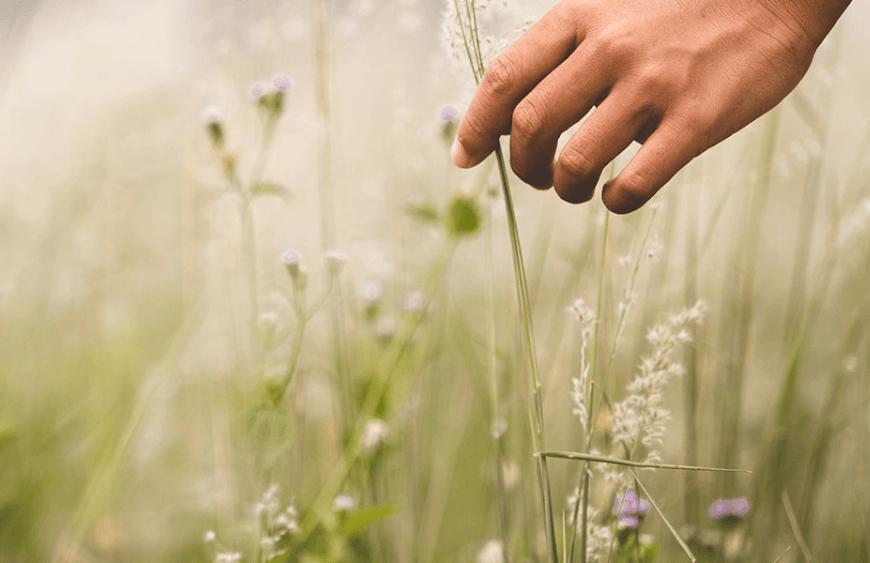 izvorno.hr internet trgovina