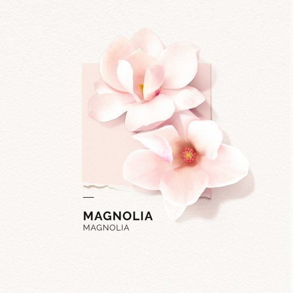 Solinotes Magnolia edp 50ml