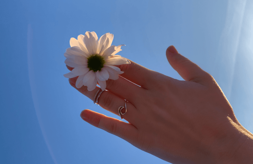 Femmenessence linija dodataka prehrani baziranih na biljci maca, posebno je osmišljena za žene u različitim životnim fazama.